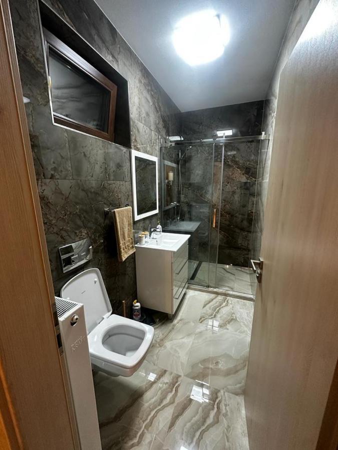 Emanuela Apartments Pecica Экстерьер фото