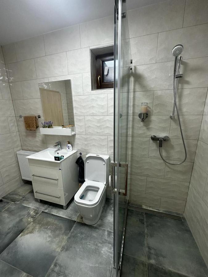 Emanuela Apartments Pecica Экстерьер фото