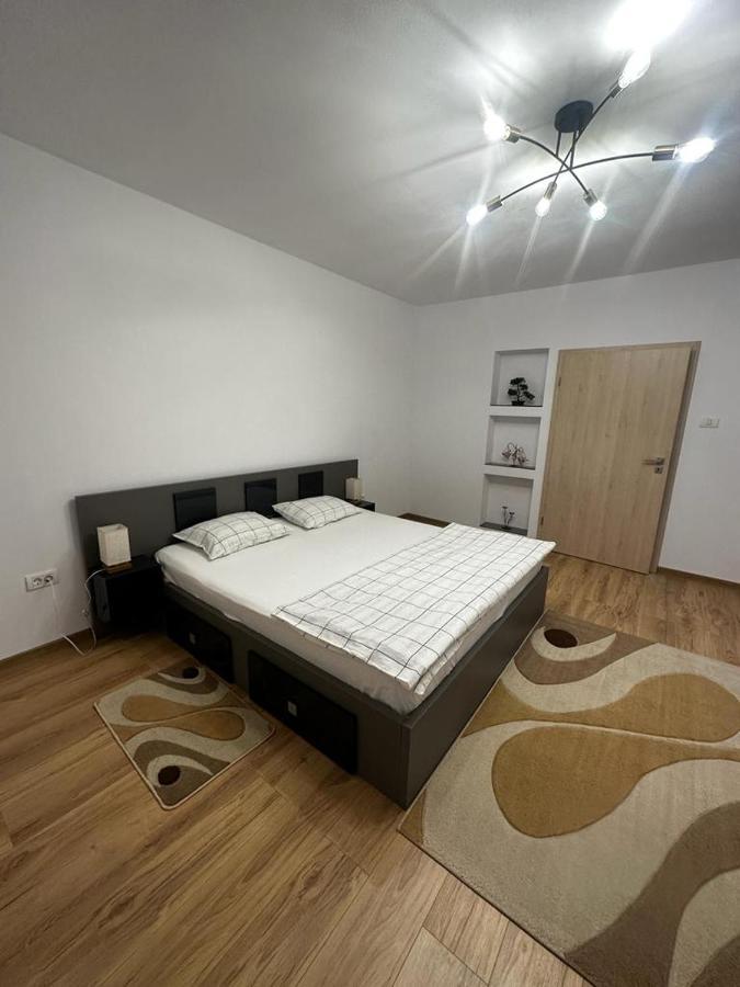 Emanuela Apartments Pecica Экстерьер фото