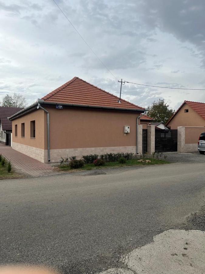 Emanuela Apartments Pecica Экстерьер фото